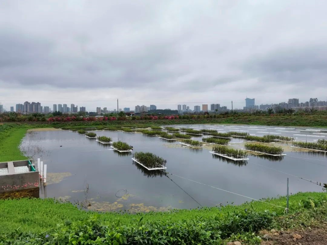 20220414165204357.png image.png