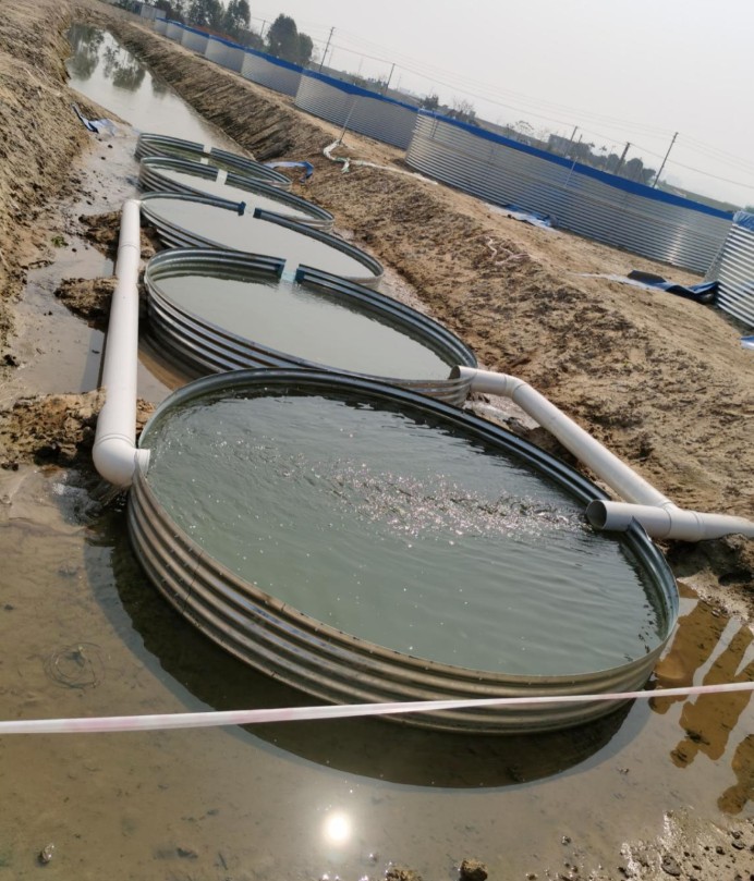 20220414165334905.png image.png