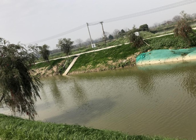 20220414165628128.png image.png