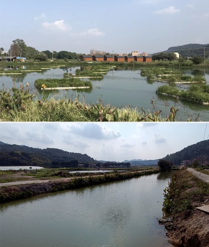 20220414165700700.png image.png