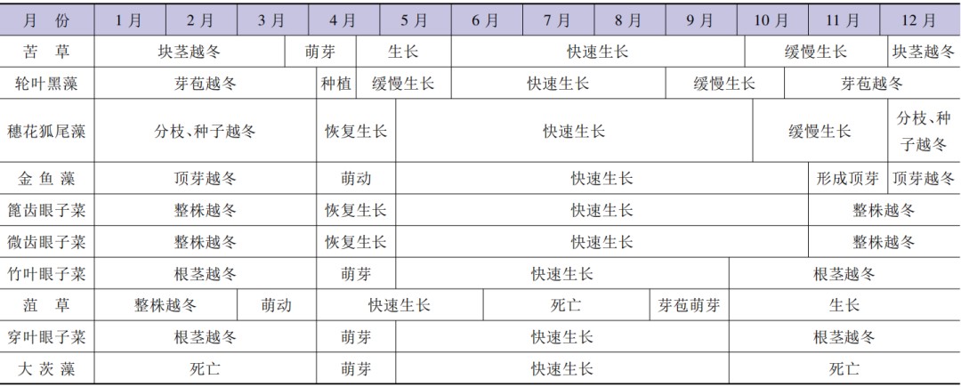 20220418164227307.png image.png