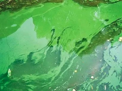 20220511112203974.png image.png