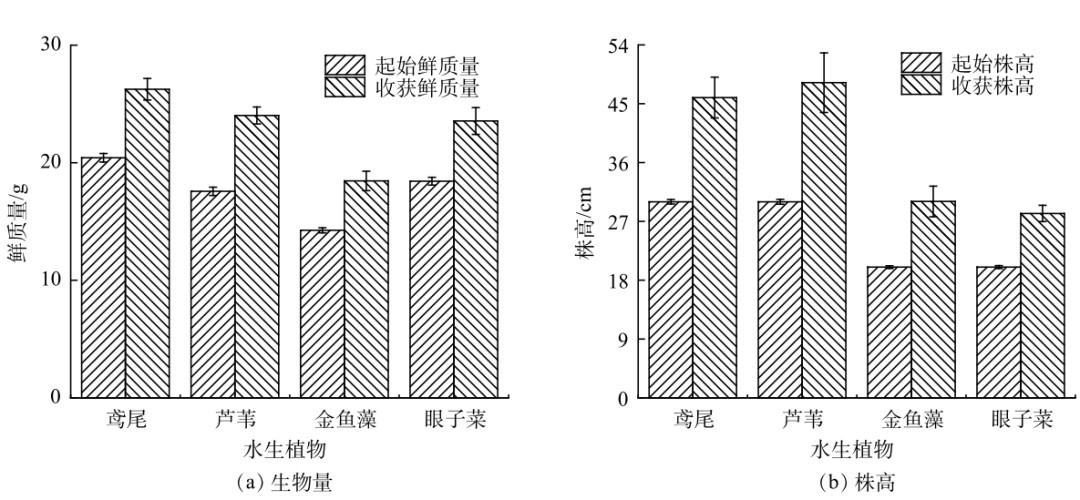 20220511135211337.png image.png