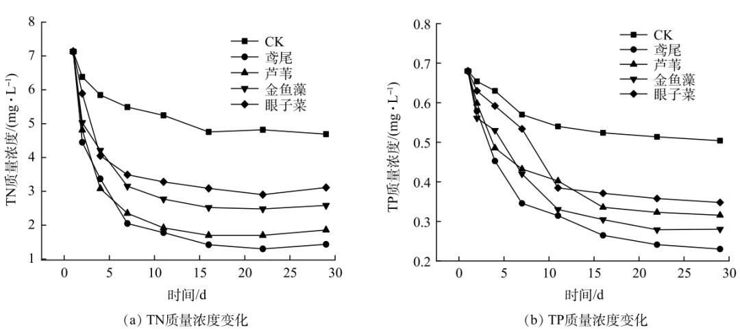 20220511135219803.png image.png