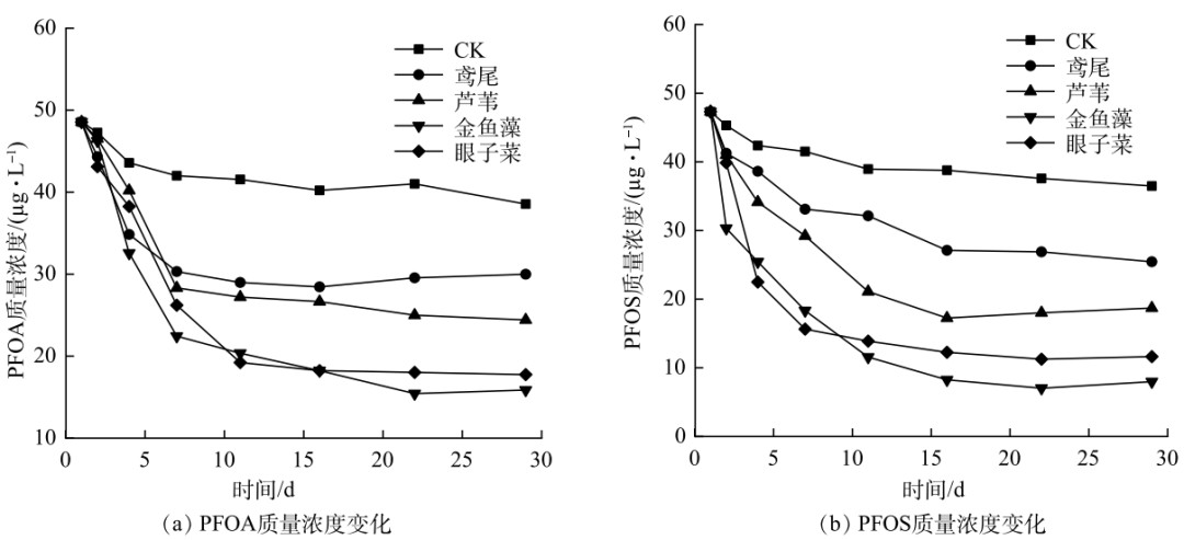 20220511135239724.png image.png