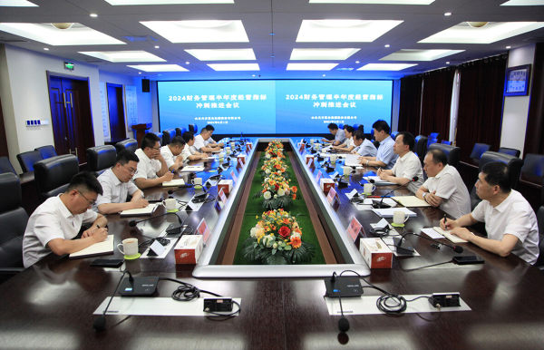  集团公司召开财务管理和市场开发指标冲刺推进会议
