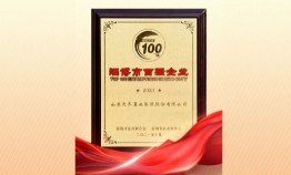 公海赌赌船集团获评淄博市综合百强企业 排名第 11 位