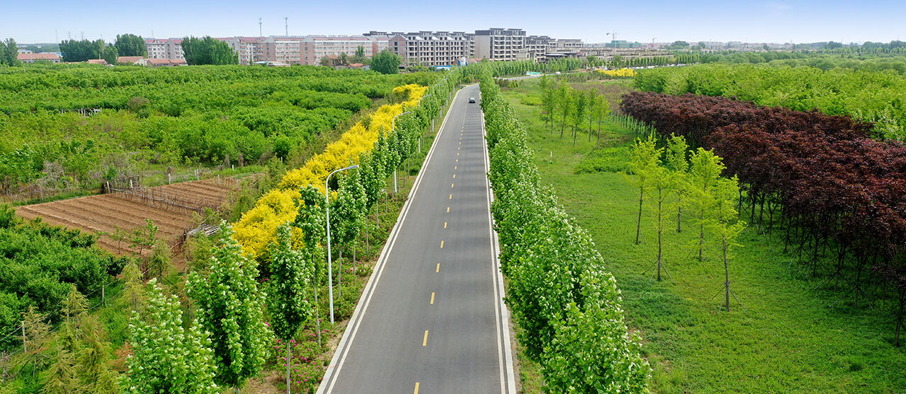 淄博市范阳河综合整治（生态修复）工程道路系统工程一标段（淄博市市政金杯示范工程）