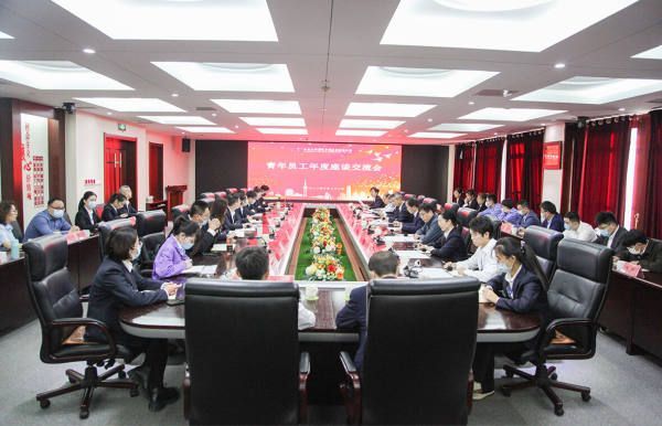 公司组织召开青年员工年度座谈交流会