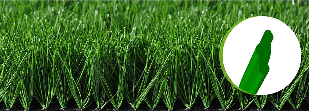 ベリン・エボリューション 60120P Bellin-Evolution 60120P