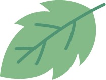 20230513134232492.png 20230513134232492.png