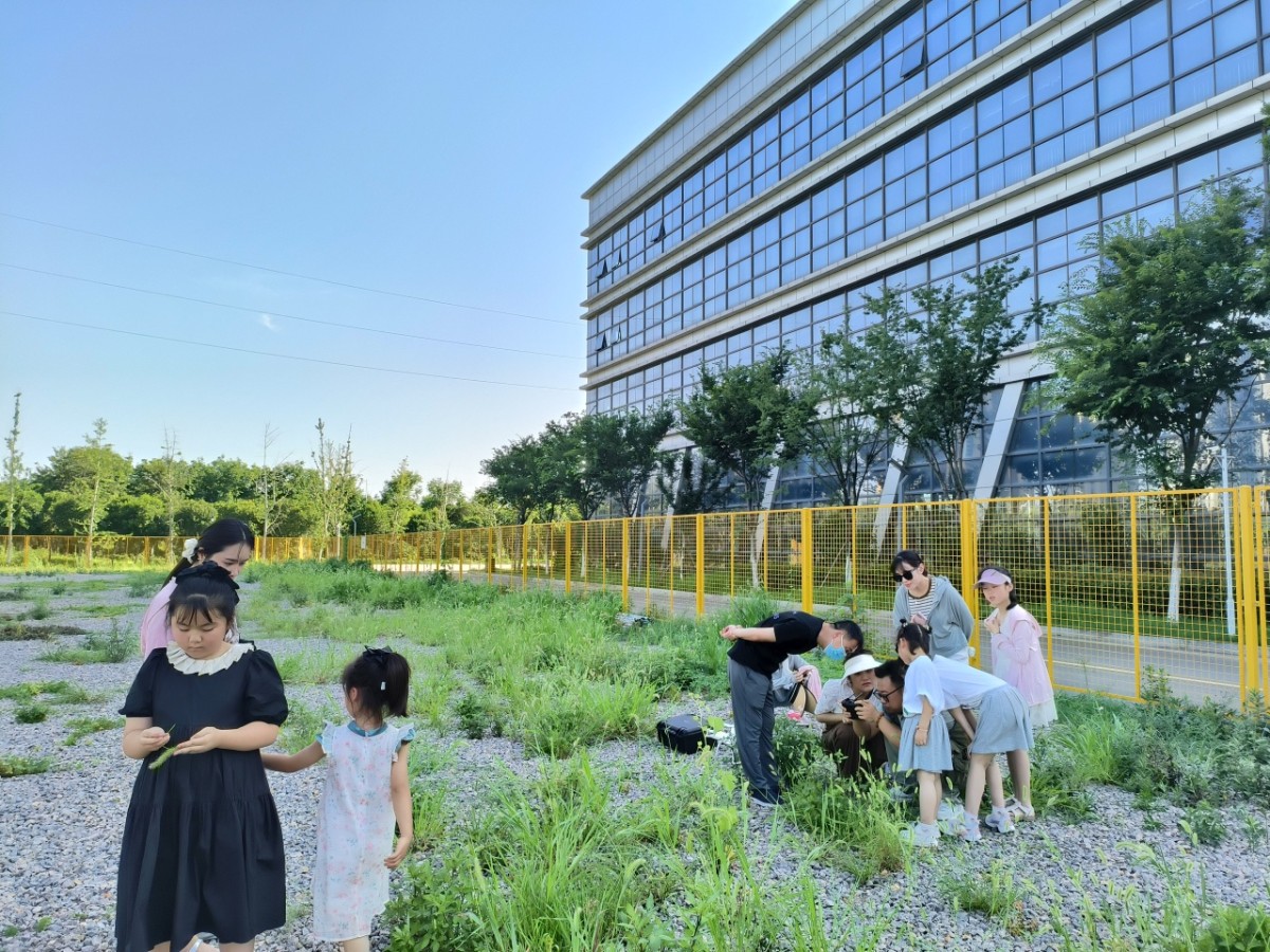 20230711210037710.jpg 20230711210037710.jpg