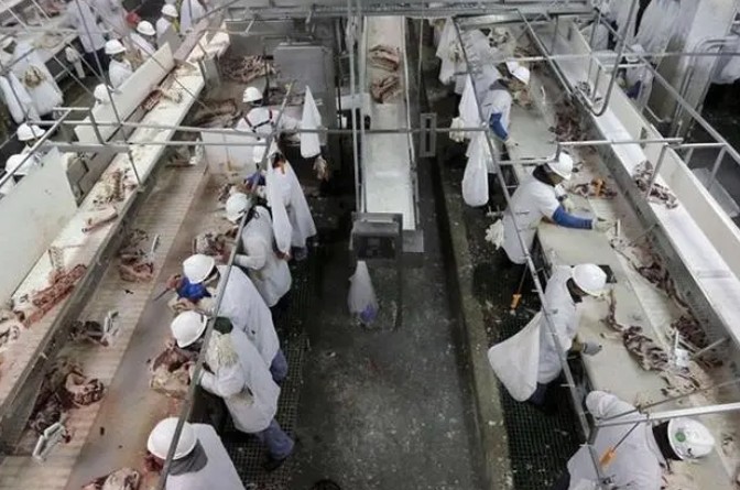 20221106132548814.png 20221106132548814.png