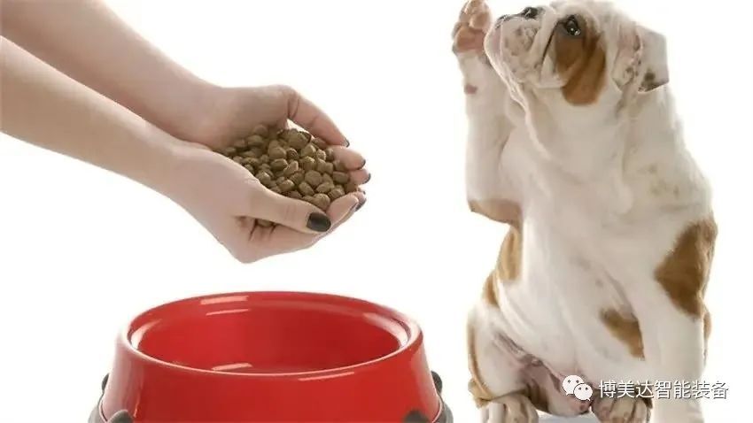 20230226165031493.jpg 图片