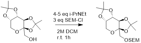 SEM-Cl-图2.png