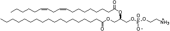 7266-53-7新.png