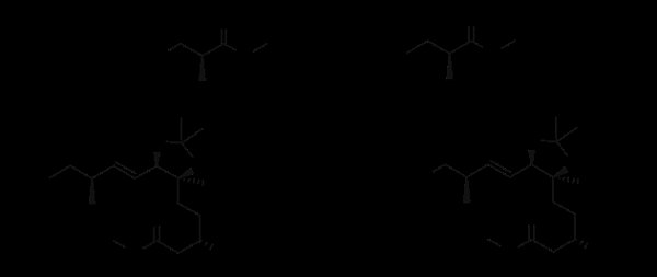 20240325153831159.png 20240325153831159.png