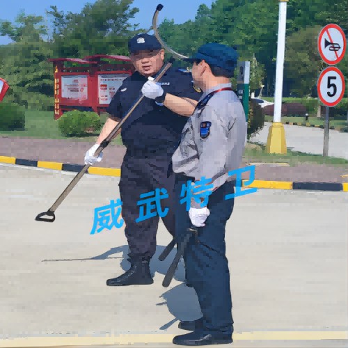 20240513104554205.png 1_副本(1).png