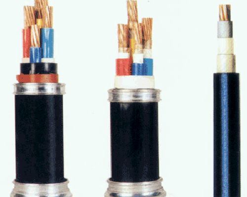 20240527111724986.jpg 聚氯乙烯绝缘聚氯乙烯护套电力电缆.jpg