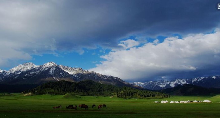 冷再生 1547428301232227.png