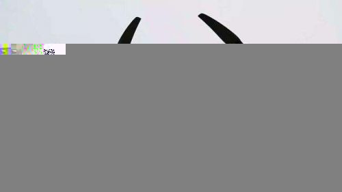 20240313093904889.jpg 20240313093904889.jpg