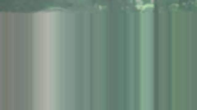 20240313114453339.jpg 20240313114453339.jpg