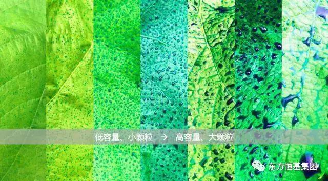 20240313114453580.jpg 20240313114453580.jpg