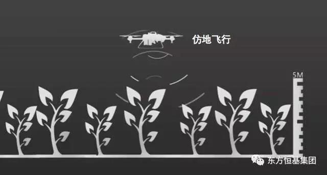 20240313114653854.jpg 20240313114653854.jpg