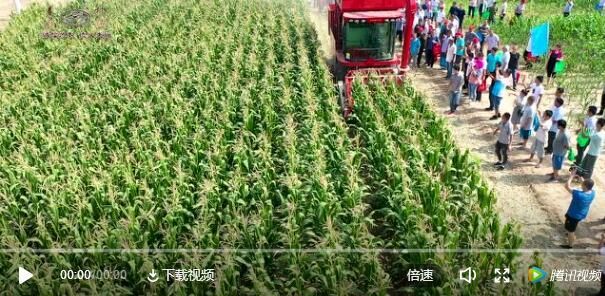 20190808141420322.jpg@!w400