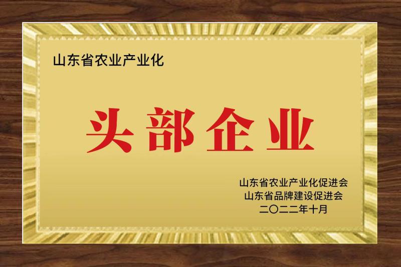 山东省农业产业化促进会头部企业