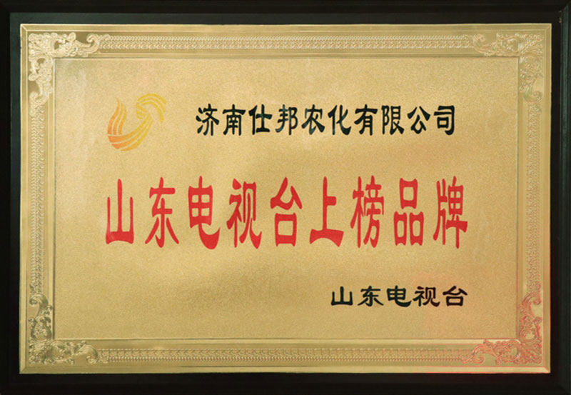 山东电视台上榜品牌