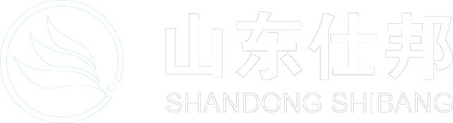 logosb2