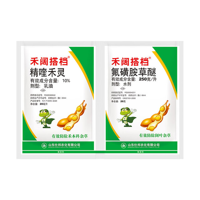 大豆禾阔搭档