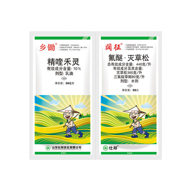 乡阔1+1