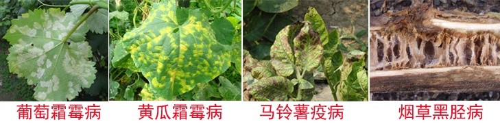 2b5a522c-82c6-4b46-89a5-1a61046ddd30