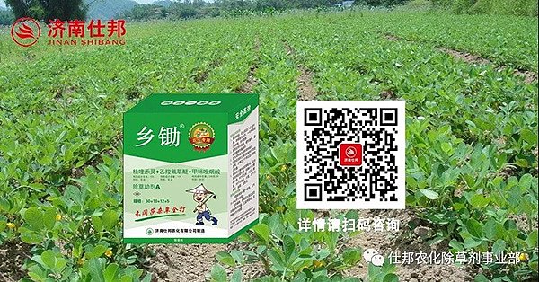 济南仕邦花生田禾阔莎通除专用除草剂—花生乡锄