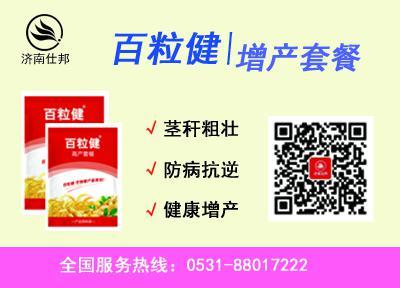 08186ac9-97b9-4651-b1af-ddc7b53172e3
