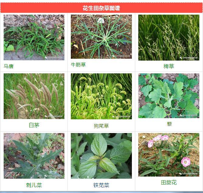 ca918a29-f48c-44b6-9bab-c3ba07ea63c9