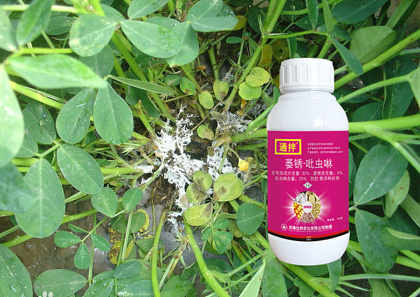 花生拌种剂种衣剂使用注意事项是什么？