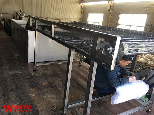 网链式水池输送机