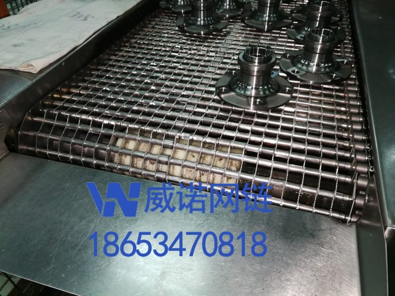 链片式网带
