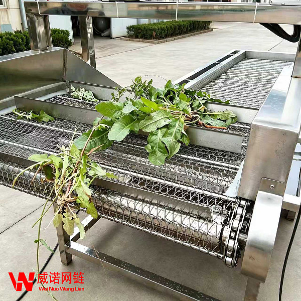 气泡洗菜网链输送机