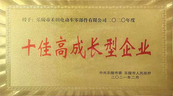 十佳高成长型企业