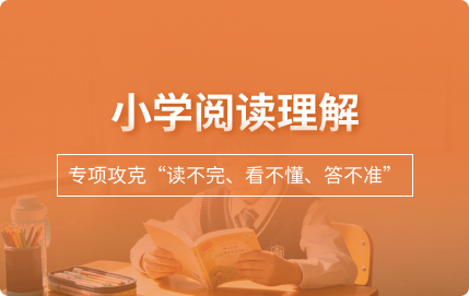 小学阅读理解