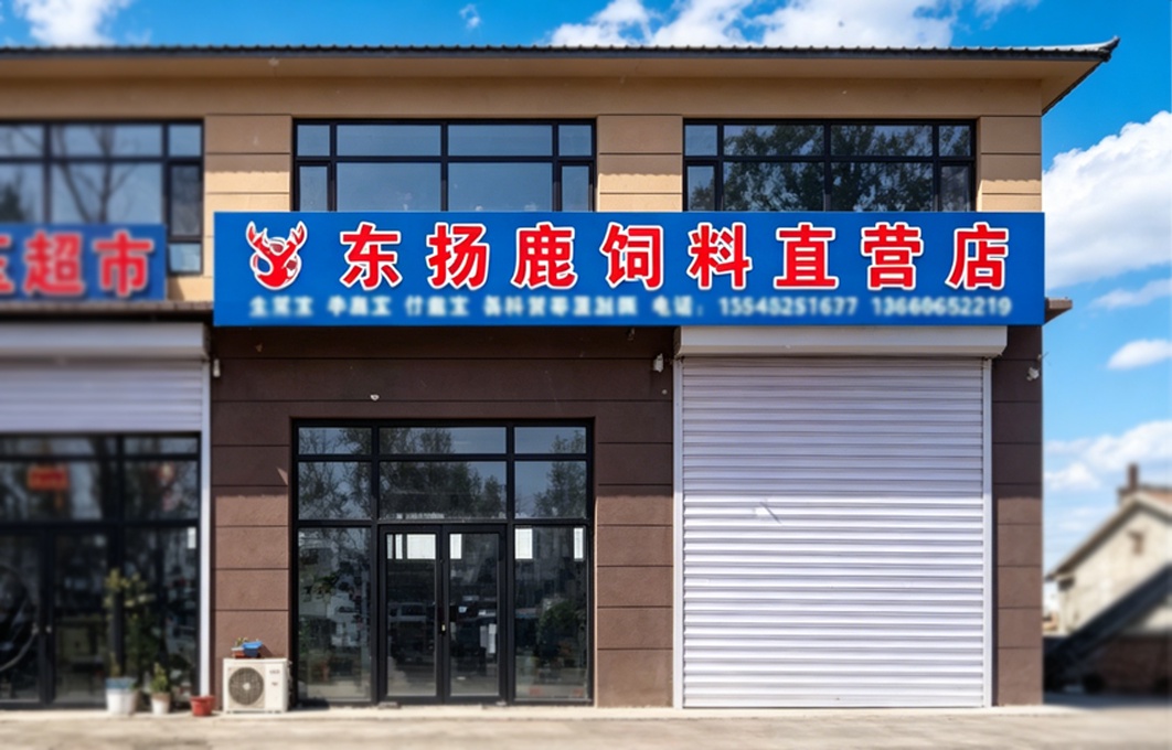 东扬