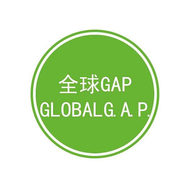 全球GAP认证