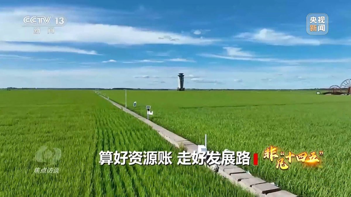 4084d6a803b24aa48241e5310f989323