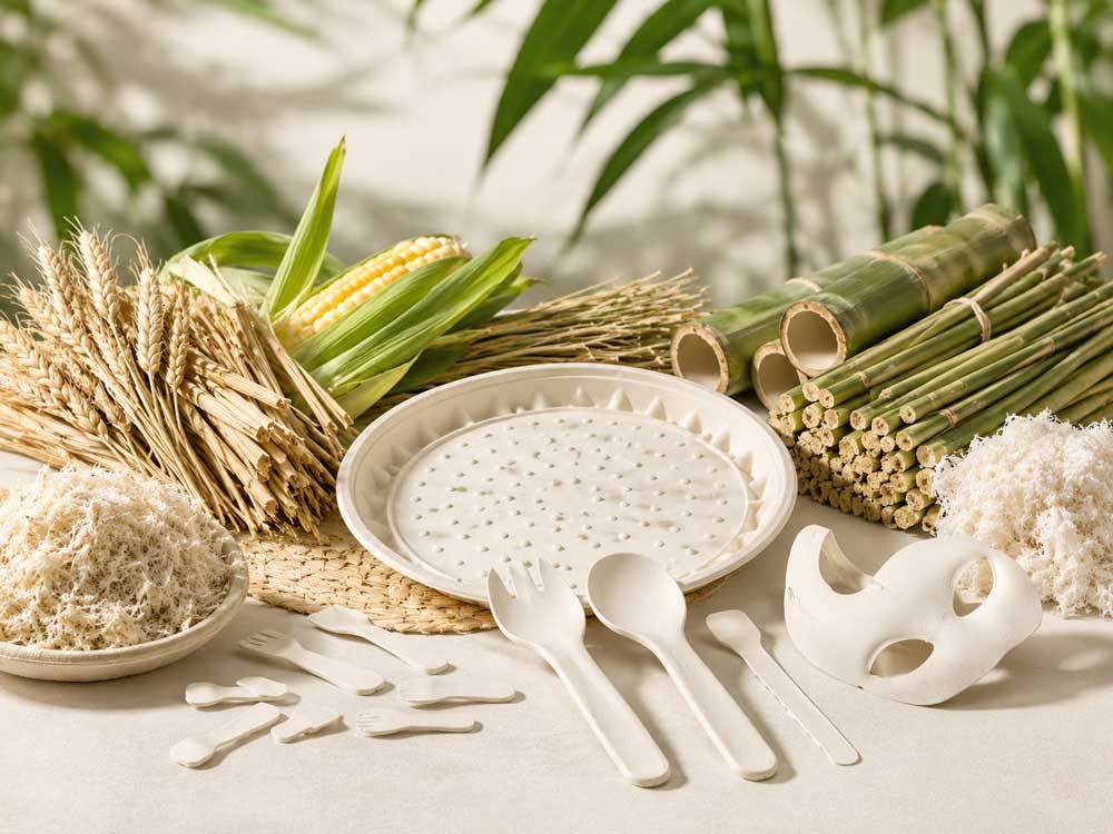 What raw materials are used in your products?