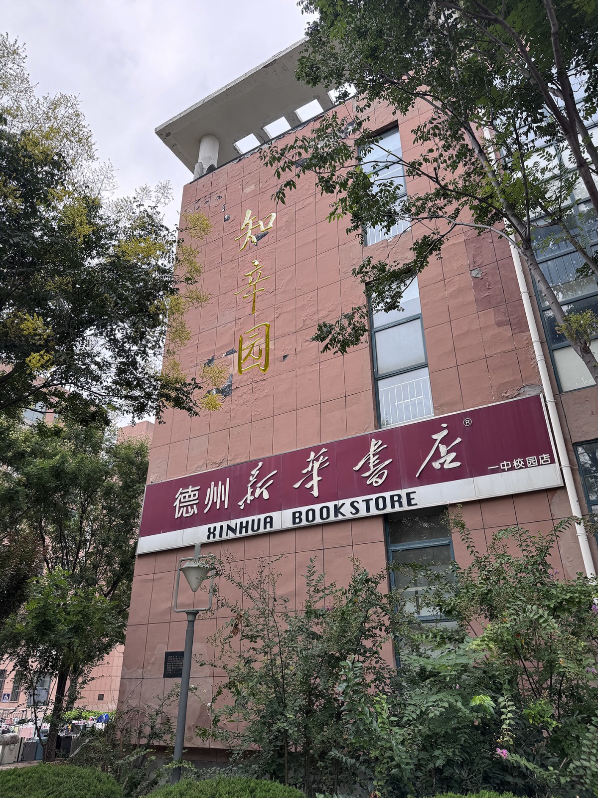 图片3