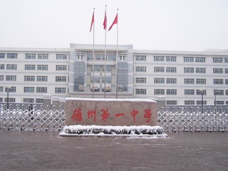 20130127114956162.JPG